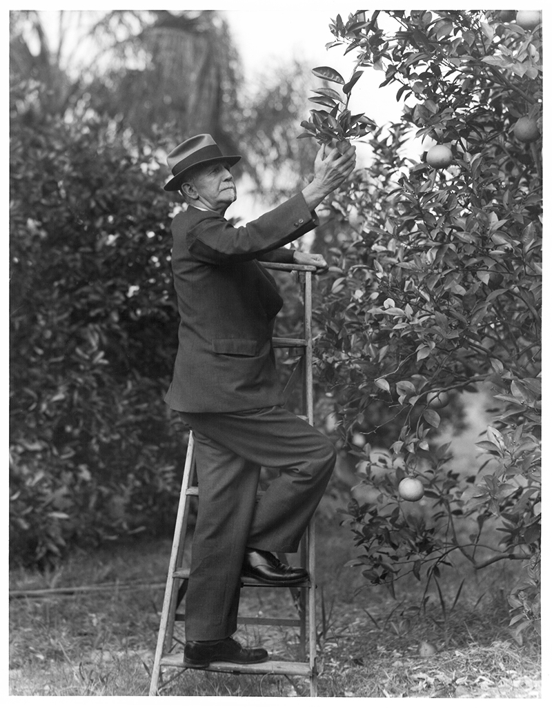 Roger Babson at Newton apple tree
