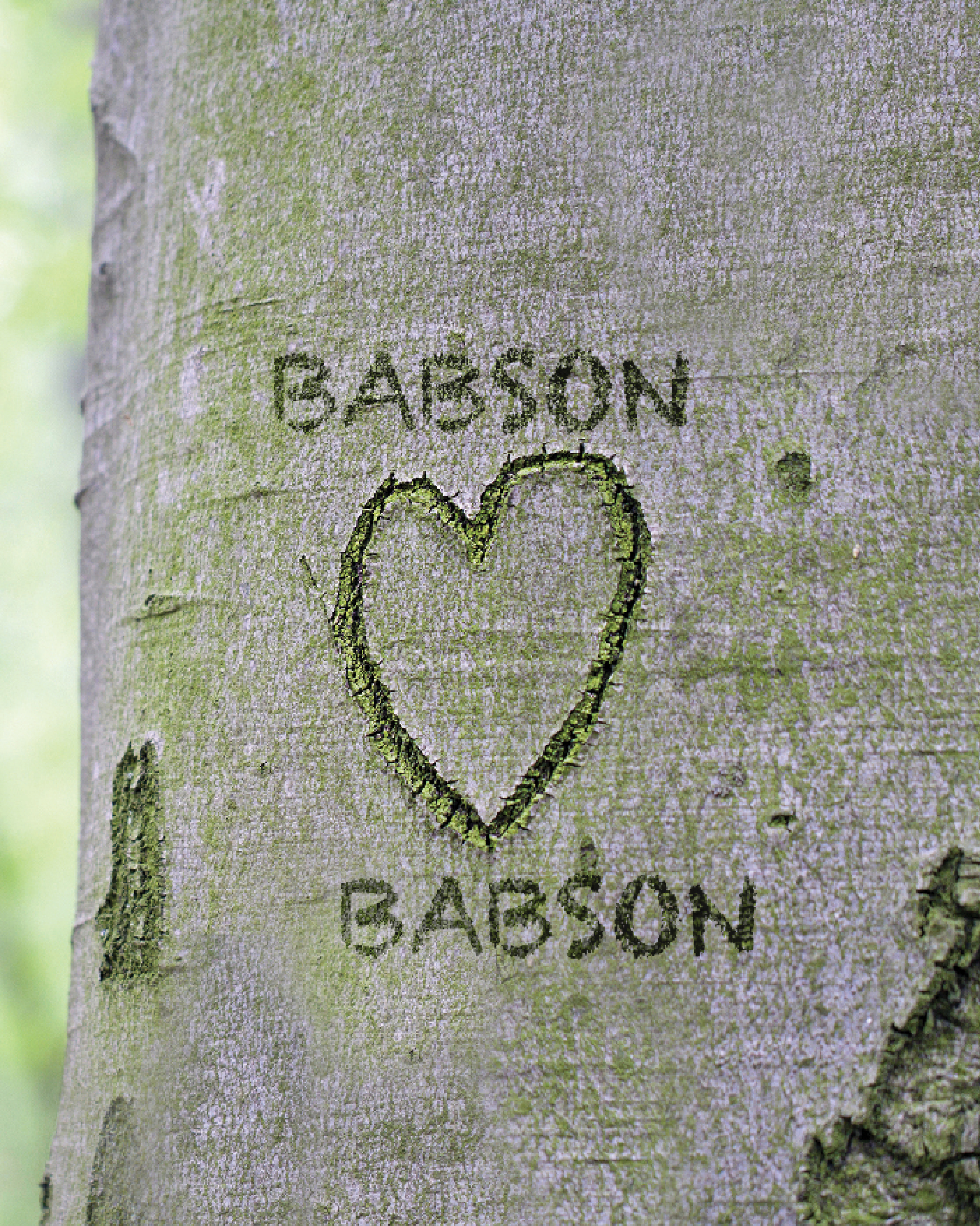 Babson Love Stories